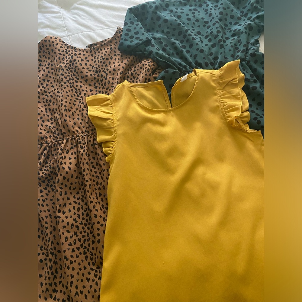 Fall dress bundle